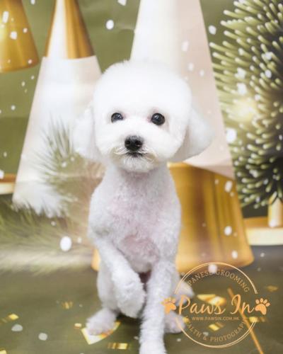 0B954ECF-7CB4-4D31-9EA9-B2C27A941B04