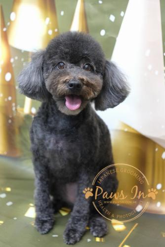 10D3401B-BEC3-44BA-96CA-BF7FDDB19070