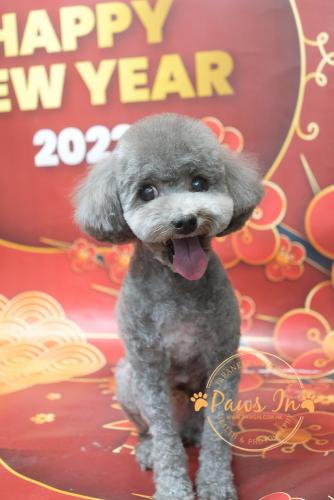 11E58C02-87E7-4B8C-8623-1F6C3A7C2C31