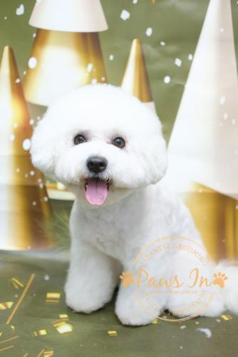 1392AE4F-F7A1-49EE-9980-F87C195AD490