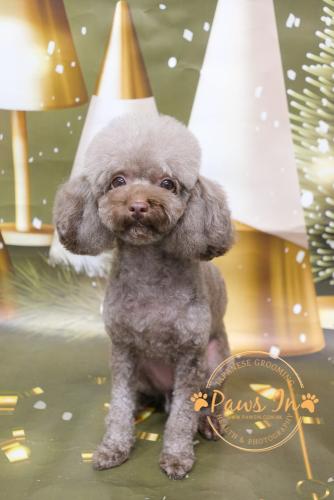 1AEBF007-4E13-41B9-8341-CB96B36449C1