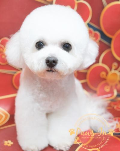 4237424B-35C2-43A7-9141-6B1CAA41875B