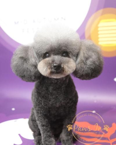 6BDBE909-E699-4129-804A-6BDA1FCC18CA