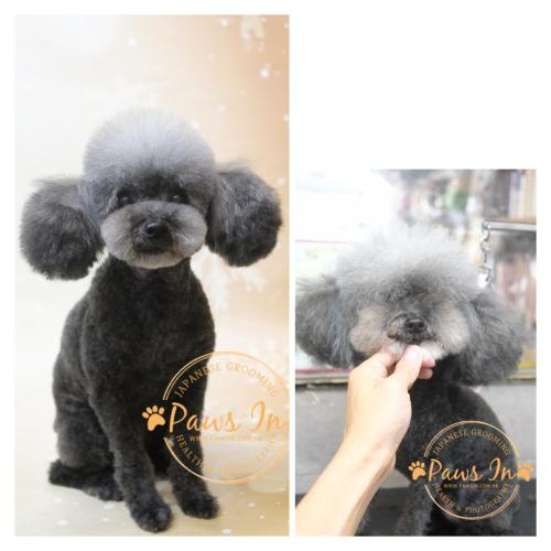 9976312B-9BC1-4EBC-9528-EF0F011FB22A