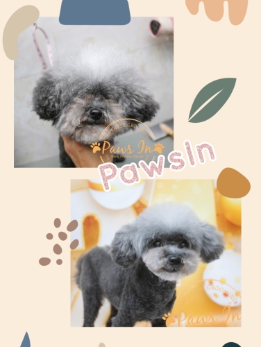 Collage 2024-01-22 11 24 202