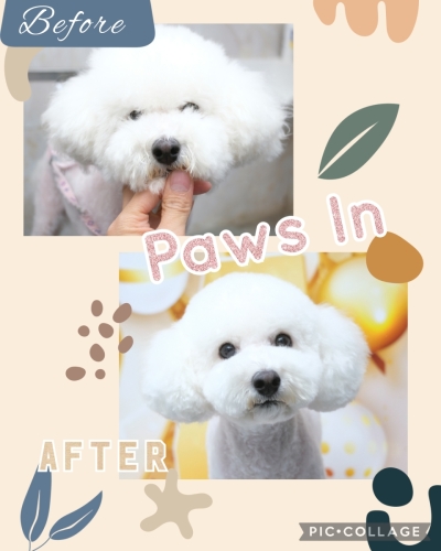 Collage 2024-01-29 16 49 20