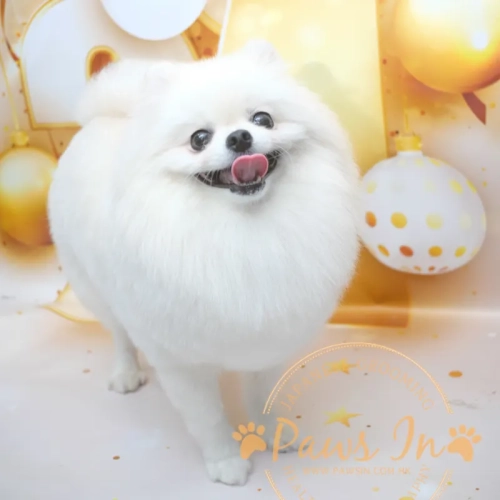 IMG 20240128 215816 467